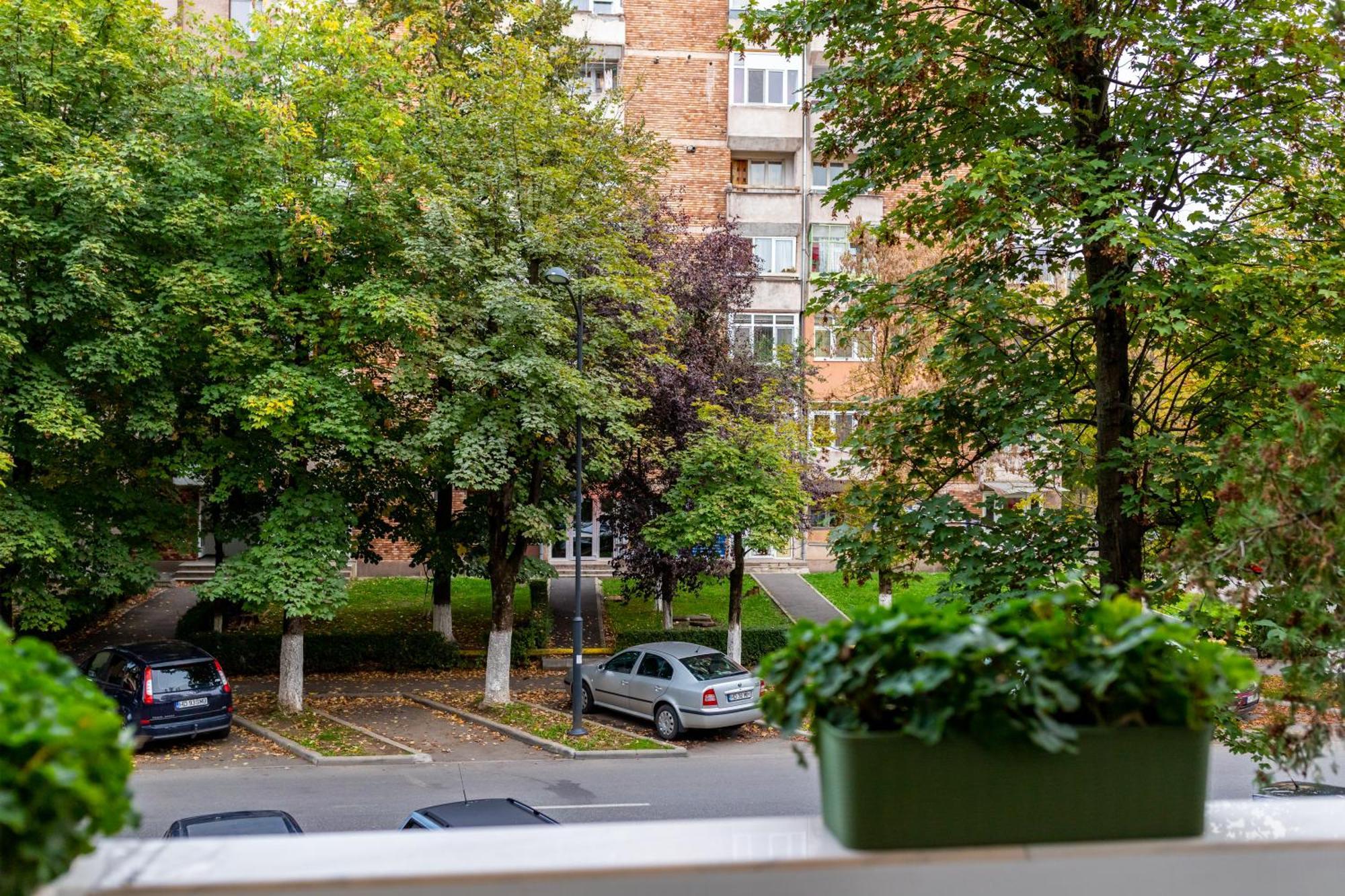 Apartament Octavia 후네도아라 외부 사진
